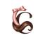 Curlyne - Accueil